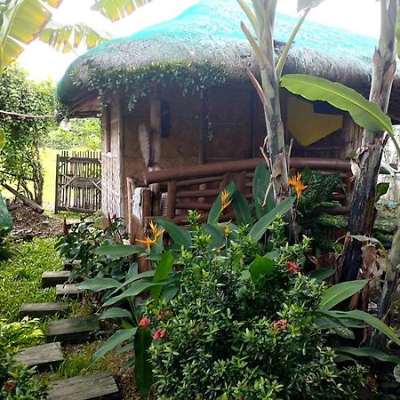 Dupas Luce Love Lodges Talipan 外观 照片