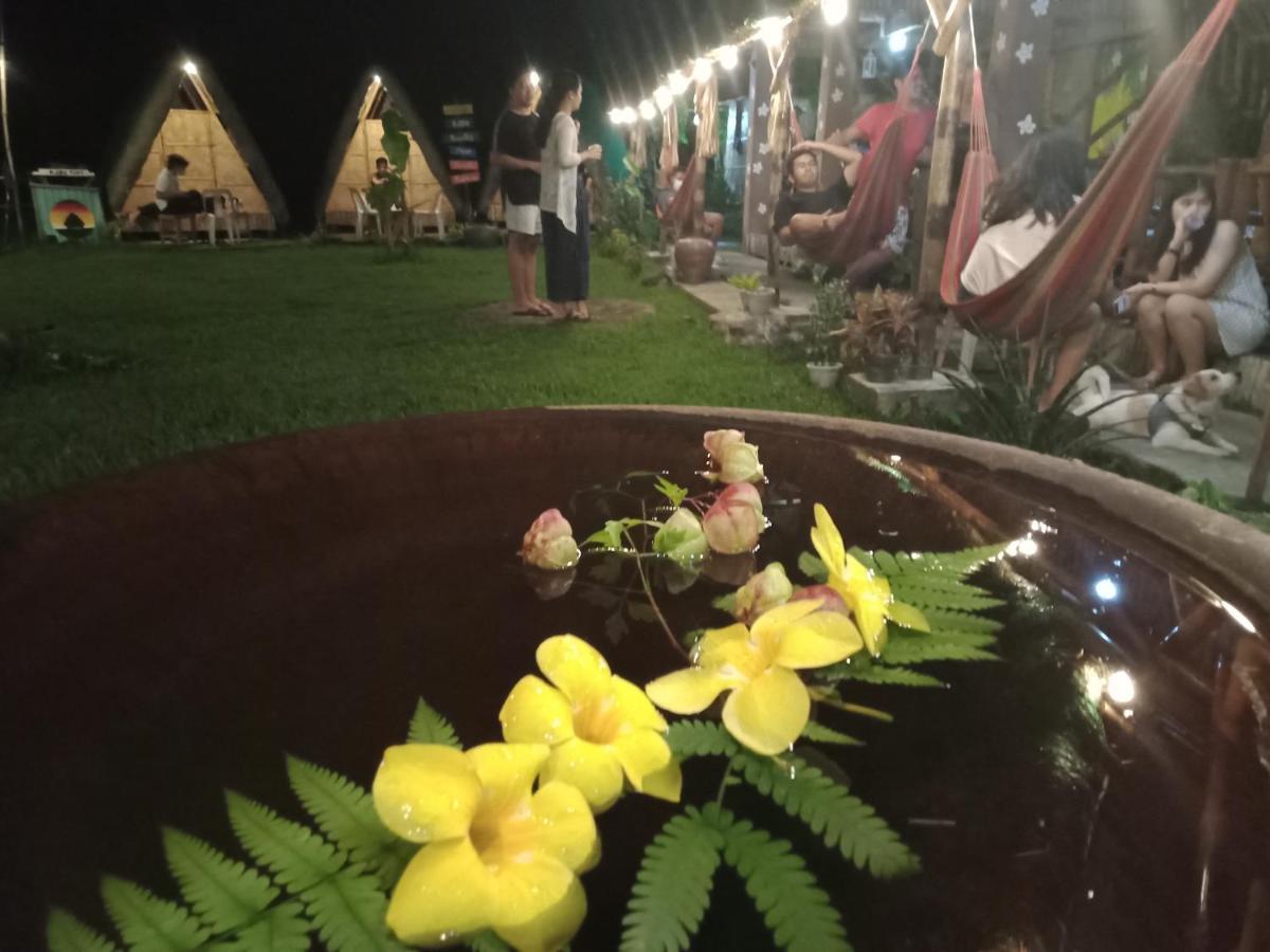 Dupas Luce Love Lodges Talipan 外观 照片