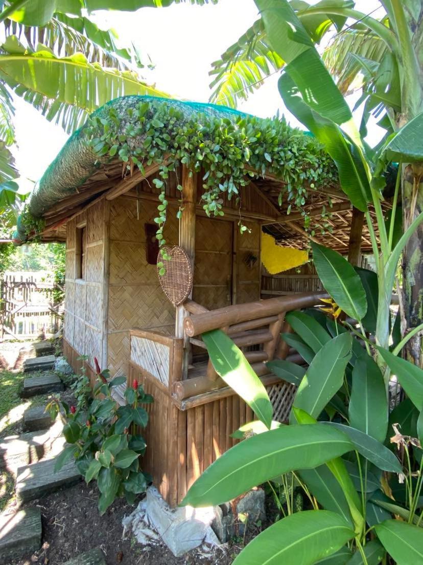 Dupas Luce Love Lodges Talipan 外观 照片