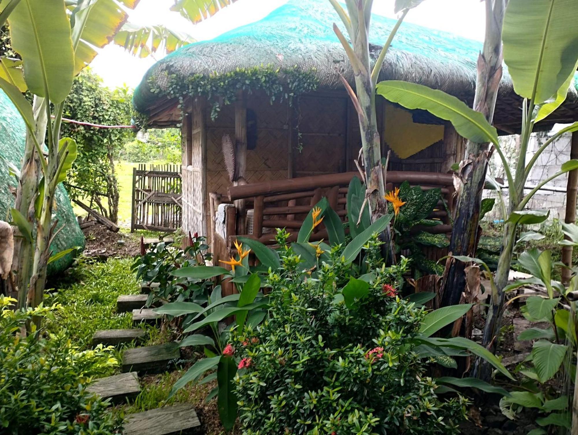 Dupas Luce Love Lodges Talipan 外观 照片